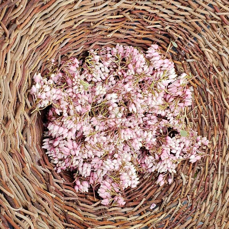 Native American basket filled with Manzanita blossom